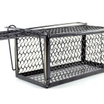 SourceDirect Humane Live Mouse & Rat Trap Cage – Small SourceDirect Humane Live Mouse & Rat Trap Cage – Small