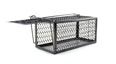 SourceDirect Humane Live Mouse & Rat Trap Cage – Small SourceDirect Humane Live Mouse & Rat Trap Cage – Small