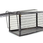 SourceDirect Humane Live Mouse & Rat Trap Cage – Large SourceDirect Humane Live Mouse & Rat Trap Cage – Large
