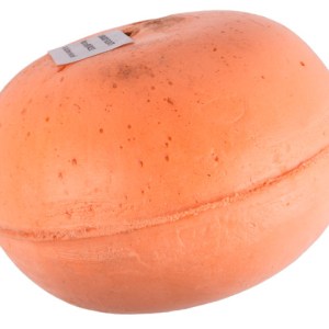 Dorado – Gardening Tools – Parts & Accessories – Float Valve Ball – 12mm Dorado – Gardening Tools – Parts & Accessories – Float Valve Ball – 12mm