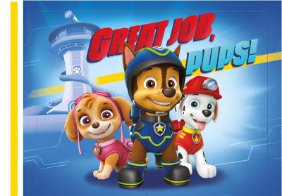 Paw Patrol Boys Non Woven Shopping Bag Paw Patrol Boys Non Woven Shopping Bag