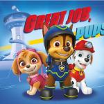 Paw Patrol Boys Non Woven Shopping Bag Paw Patrol Boys Non Woven Shopping Bag