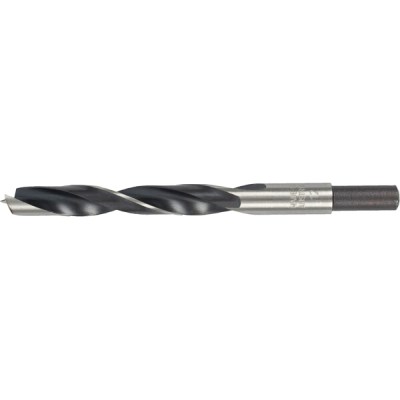 Alpen Wood Drill Bit 12 x 151mm Alpen Wood Drill Bit 12 x 151mm