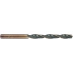 Alpen Sprint Master Din 338 7.0mm Bulk Ind Pack Alpen Sprint Master Din 338 7.0mm Bulk Ind Pack