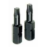 PG Mini Torx Tx25 Insert Bits 2 Pce PG Mini Torx Tx25 Insert Bits 2 Pce