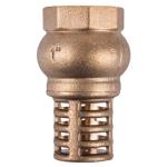 Torrenti Brass Foot Valve – 65mm Torrenti Brass Foot Valve – 65mm