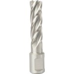 Tork Craft Annular Hole Cutter Hss 15 x 55mm Broach Slugger Bit Tork Craft Annular Hole Cutter Hss 15 x 55mm Broach Slugger Bit