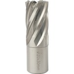 Tork Craft Annular Hole Cutter Hss 20 x 30mm Broach Slugger Bit Tork Craft Annular Hole Cutter Hss 20 x 30mm Broach Slugger Bit