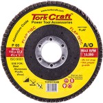 Tork Craft Flap Sanding Disc 115mm 60Grit Tork Craft Flap Sanding Disc 115mm 60Grit