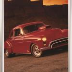 Parrot Poster Frame – Security Frame with Mitred Corners – A3 Parrot Poster Frame – Security Frame with Mitred Corners – A3