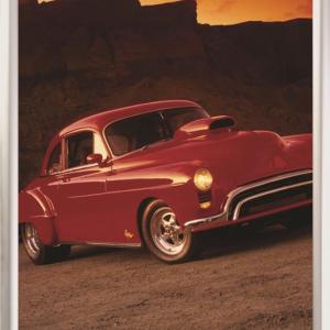 Parrot Poster Frame – Security Frame with Mitred Corners – A3 Parrot Poster Frame – Security Frame with Mitred Corners – A3