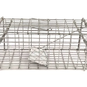 SourceDirect – Humane Mouse Trap /Cage (Foldable) – (31cm x 11cm x 11cm) SourceDirect – Humane Mouse Trap /Cage (Foldable) – (31cm x 11cm x 11cm)