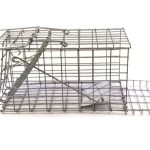 SourceDirect – Humane Mouse Trap /Cage (Foldable) – (21cm x 11.5cm x 10cm) SourceDirect – Humane Mouse Trap /Cage (Foldable) – (21cm x 11.5cm x 10cm)