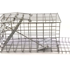 SourceDirect – Humane Mouse Trap /Cage (Foldable) – (21cm x 11.5cm x 10cm) SourceDirect – Humane Mouse Trap /Cage (Foldable) – (21cm x 11.5cm x 10cm)
