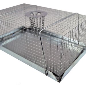 SourceDirect – Humane Mouse Top Hole Catch (XXS) – (21cm x 13cm x 8.5cm) SourceDirect – Humane Mouse Top Hole Catch (XXS) – (21cm x 13cm x 8.5cm)