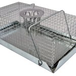 SourceDirect – Humane Mouse Top Hole Catch (XS) – (18.2cm x 11 x 6.5cm) SourceDirect – Humane Mouse Top Hole Catch (XS) – (18.2cm x 11 x 6.5cm)