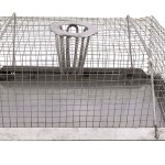 SourceDirect – Humane Mouse Top Hole Catch (S) – (29.5cm x 13cm x 15cm) SourceDirect – Humane Mouse Top Hole Catch (S) – (29.5cm x 13cm x 15cm)