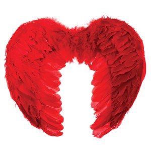 Feathery Dress Up Wings Feathery Dress Up Wings
