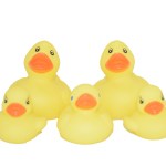 Assorted Character Ducks – Pack of 5 Assorted Character Ducks – Pack of 5