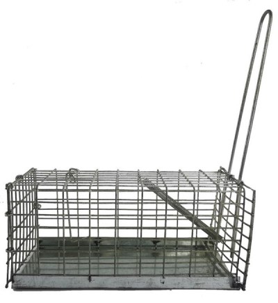 SourceDirect Humane Mouse Trap /Cage with Metal Base – (30cm x 14cm x 14cm) SourceDirect Humane Mouse Trap /Cage with Metal Base – (30cm x 14cm x 14cm)