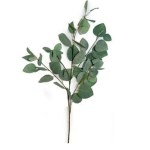 Eucalyptus 97cm Spray Green Eucalyptus 97cm Spray Green