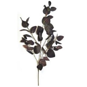 Eucalyptus 97cm Spray Burgundy Eucalyptus 97cm Spray Burgundy
