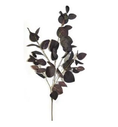 Eucalyptus 97cm Spray Burgundy Eucalyptus 97cm Spray Burgundy