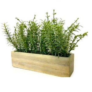 Rosemary/Myrtle 11” Wooden Box Rosemary/Myrtle 11” Wooden Box