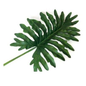 Split Philo Single Leaf 46”/116.8cm Green Split Philo Single Leaf 46”/116.8cm Green