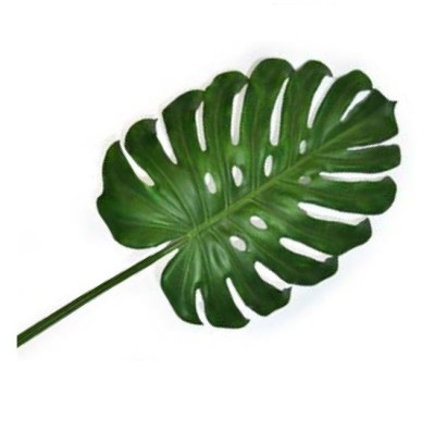 Monstera Leaf 45”/114.3cm Green Monstera Leaf 45”/114.3cm Green