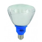 Eurolux Lamp Par38 Cfl E27 Blue 18W Eurolux Lamp Par38 Cfl E27 Blue 18W