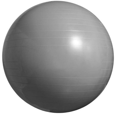 Pulse Active – Fitness Ball Yoga – Grey (65cm) Pulse Active – Fitness Ball Yoga – Grey (65cm)