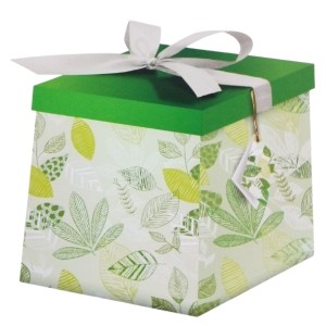 SourceDirect – Gift Box / Flat-Pack Large Gift Box 22 x 22 x 22cm – Green SourceDirect – Gift Box / Flat-Pack Large Gift Box 22 x 22 x 22cm – Green