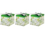 SourceDirect – Gift Box / Flat-Pack Large Gift Box – Pack of 3 (Green) SourceDirect – Gift Box / Flat-Pack Large Gift Box – Pack of 3 (Green)