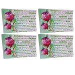 SourceDirect – Placemats / Afrikaans Words Placemats 45 x 30cm – Pack of 4 SourceDirect – Placemats / Afrikaans Words Placemats 45 x 30cm – Pack of 4