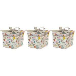SourceDirect – Gift Box / Flat-Pack Large Gift Box – Pack of 3 (Party) SourceDirect – Gift Box / Flat-Pack Large Gift Box – Pack of 3 (Party)