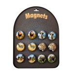 Wildlife Magnet – Home Décor – Ostrich – 4cm x 4cm Wildlife Magnet – Home Décor – Ostrich – 4cm x 4cm