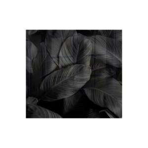 Parrot Products Feathers Hob Splashback (598 X 650 X 6mm) Parrot Products Feathers Hob Splashback (598 X 650 X 6mm)
