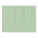 Parrot Products Pastel Green Hob Splashback (898 X 700 X 6mm) Parrot Products Pastel Green Hob Splashback (898 X 700 X 6mm)