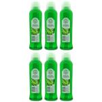 Nature Collection – Forest Fern Foam Bath (1L) Pack of 6 Nature Collection – Forest Fern Foam Bath (1L) Pack of 6