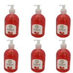 Nature Collection – Pomegranate Handwash – Pack of 6 Nature Collection – Pomegranate Handwash – Pack of 6