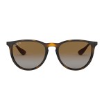 Ray-Ban ERIKA RB4171 710-T5 51 Polarized Sunglasses Ray-Ban ERIKA RB4171 710-T5 51 Polarized Sunglasses