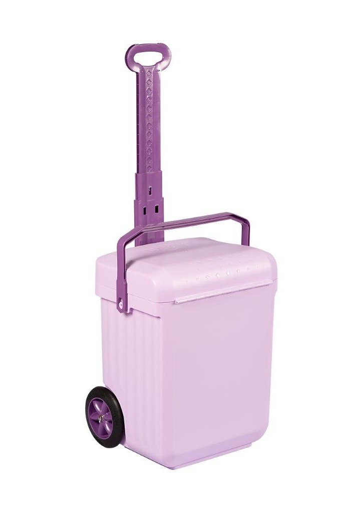 Weelie School Bag with Dividers – Purple Weelie School Bag with Dividers – Purple