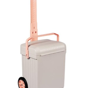 Weelie School Bag with Dividers – Salmon Weelie School Bag with Dividers – Salmon