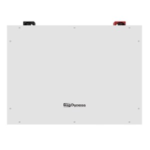 Dyness 51.2V 5.12kWh Lithium Battery BX51100 Dyness 51.2V 5.12kWh Lithium Battery BX51100