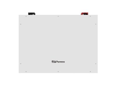 Dyness 51.2V 5.12kWh Lithium Battery BX51100 Dyness 51.2V 5.12kWh Lithium Battery BX51100