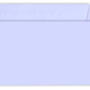 LEO Envelopes – Self Seal Envelopes , Box of (500) LEO Envelopes – Self Seal Envelopes , Box of (500)