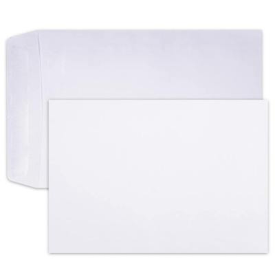 Leo Envelope – White Self Seal Envelopes , Box 0f 250 Leo Envelope – White Self Seal Envelopes , Box 0f 250