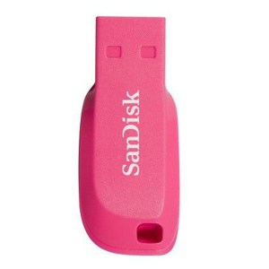 San Disk – Cruzer Blade 2.0 Flash Drive (16 GB) Electric Pink San Disk – Cruzer Blade 2.0 Flash Drive (16 GB) Electric Pink
