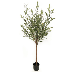 Toolhome Blossoms – Olive Tree in Pot (150cm) Toolhome Blossoms – Olive Tree in Pot (150cm)